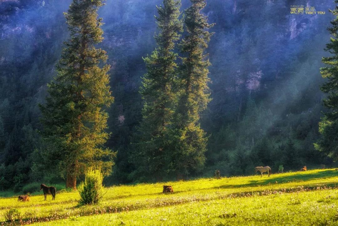 昌都市藏东明珠,现在的昌都藏东明珠