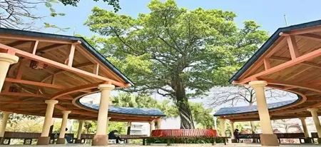 女生比例最高的广东大学,广东学生最向往的大学