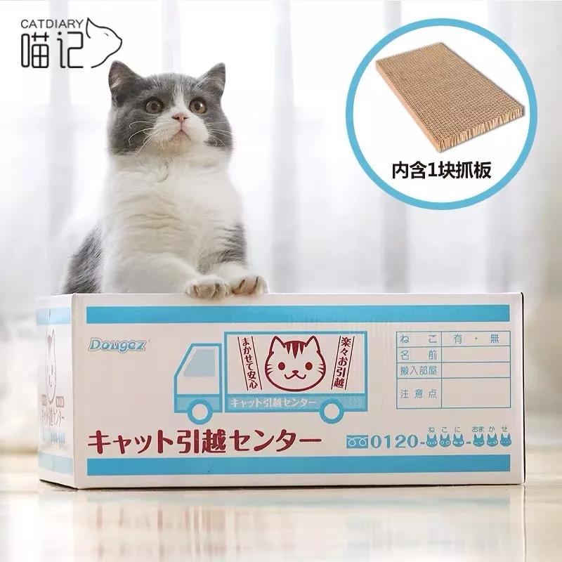 怎样写一份完美的养猫手册,新手养猫手册怎么写