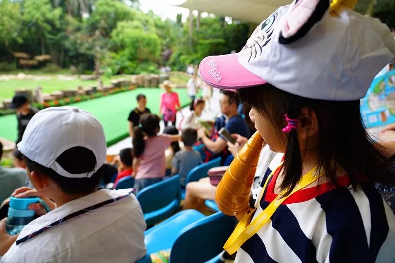 广州旅游攻略长隆动物世界,亲子游广州长隆动物园