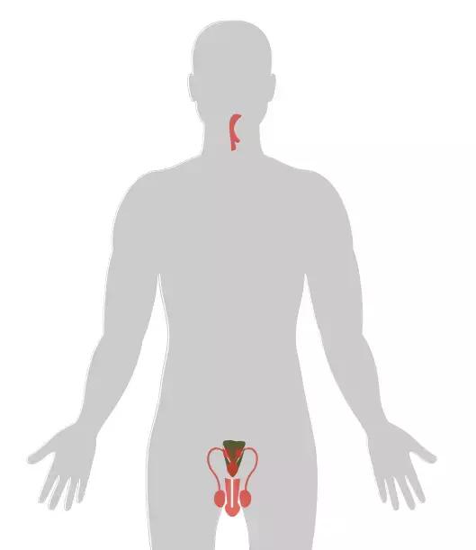 四个早期症状告诉你得了癌症,四种情况你有癌细胞