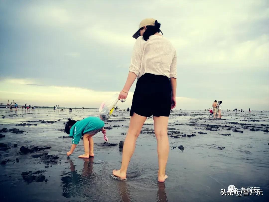 遛娃|南汇新城海滩，魔都夏日必打卡？