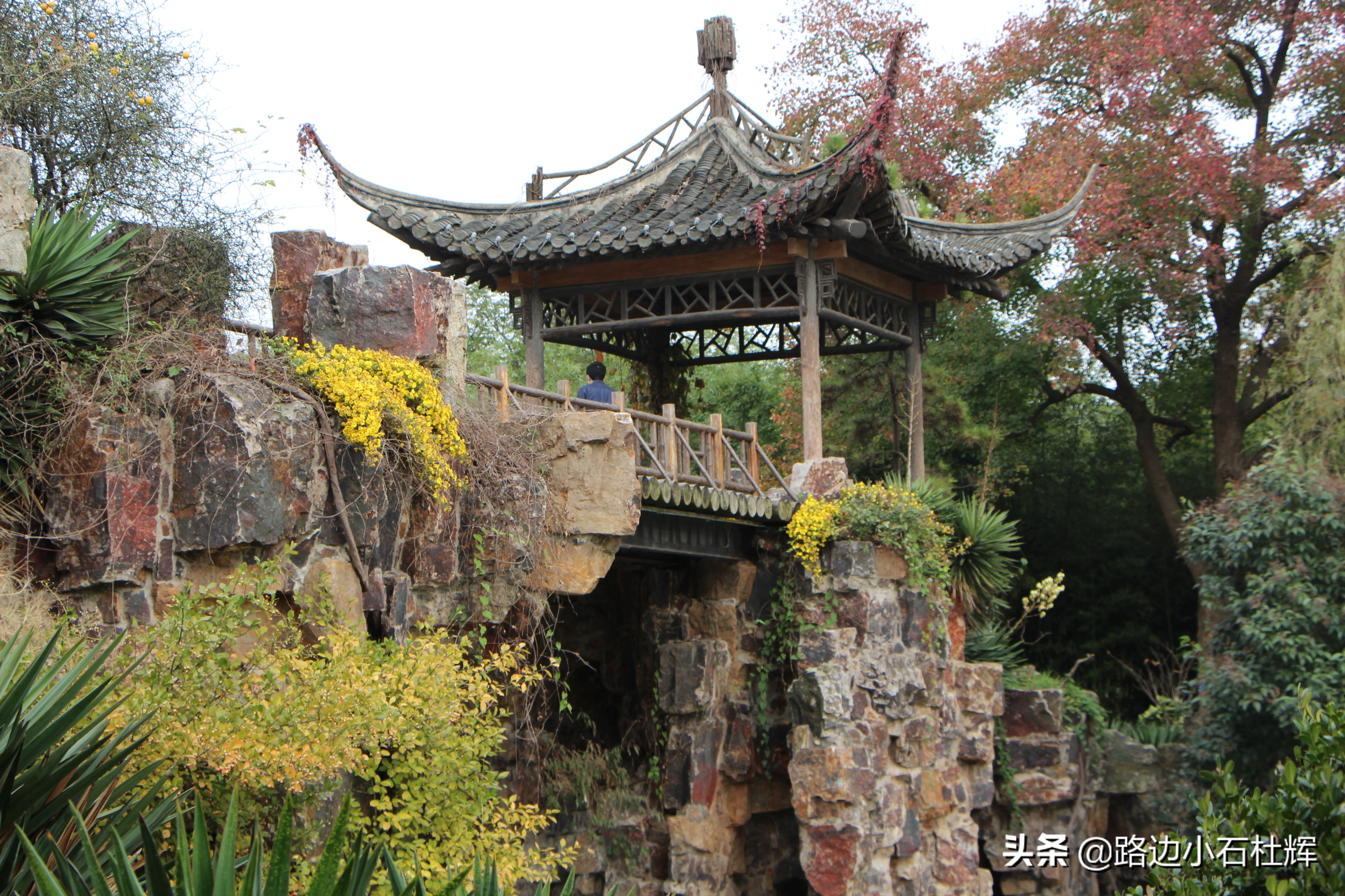 扬州瘦西湖之行,扬州瘦西湖游一圈