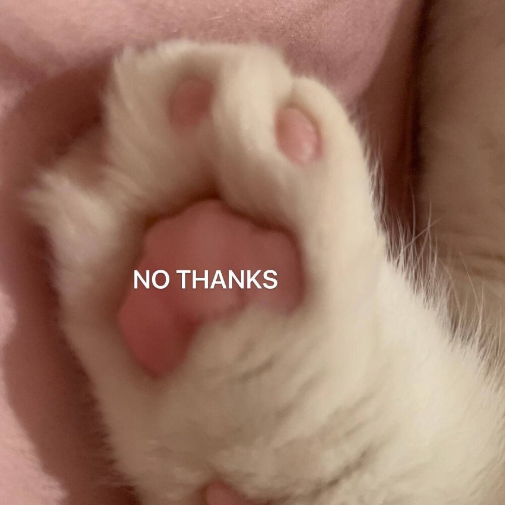 表情包大全可爱简单,可爱表情包我就是个不争气的东西