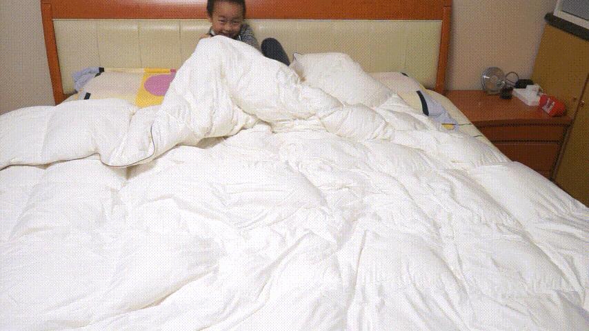 鹅绒被是冬季必备的神器,四季都能盖的鹅绒被