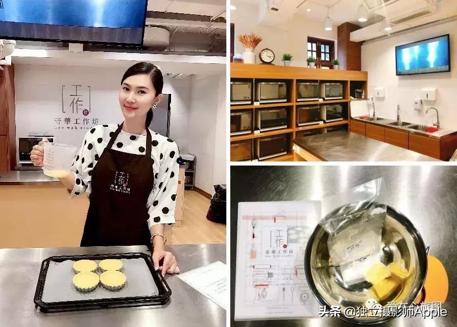 香港海洋公园自由行游玩攻略,香港旅游攻略香港海洋公园