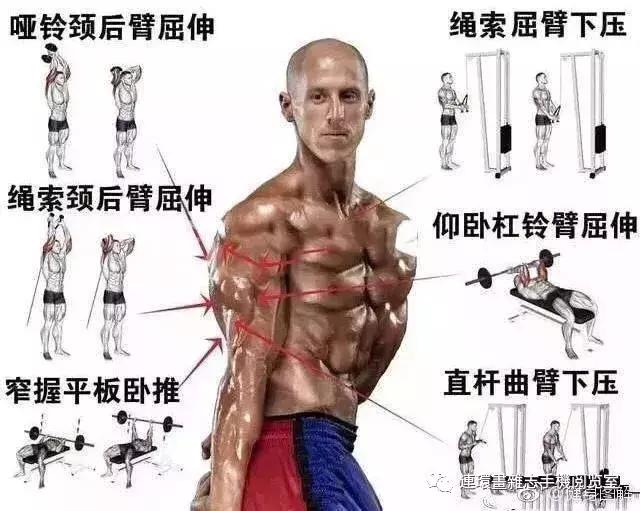 健身看图识物,健身看网上的教学视频