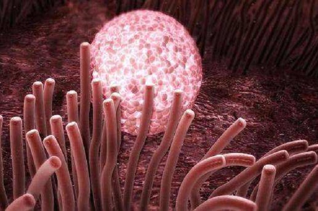 怀孕初期有症状可以测出来怀孕吗,女孩怀孕后身体有些部位疼