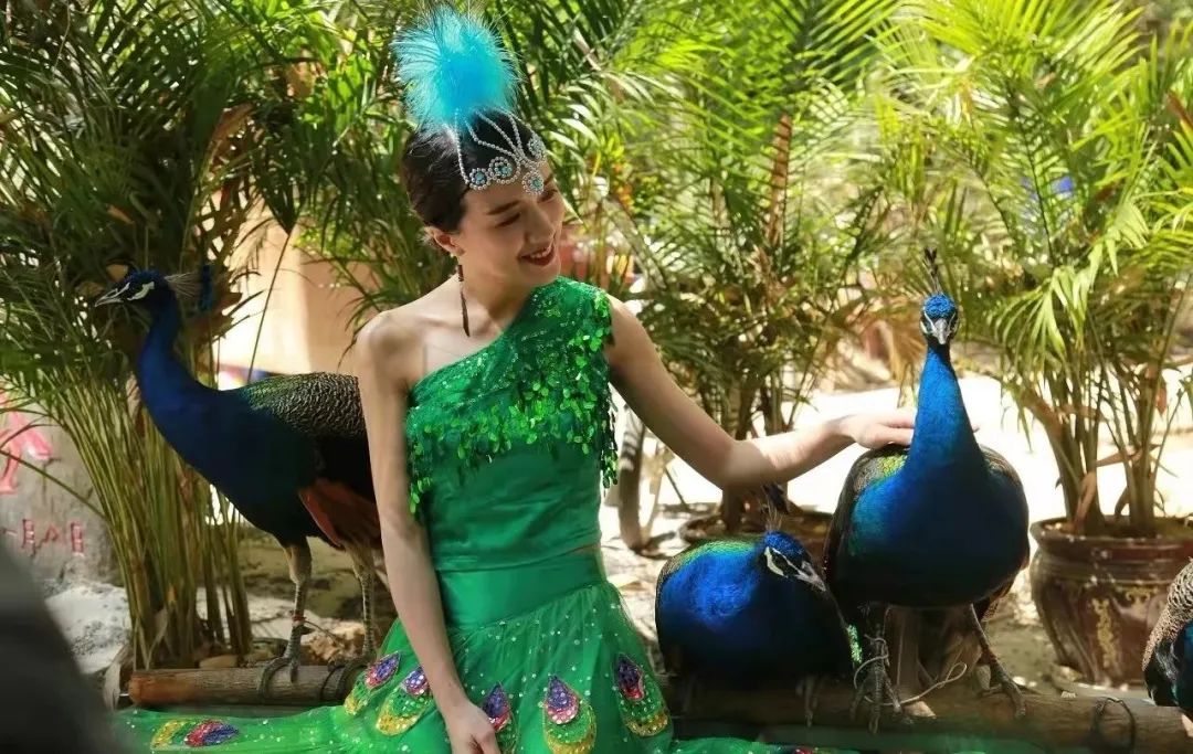 国庆节中秋景区免费打折时间,中秋节10余景区40余项活动等你来