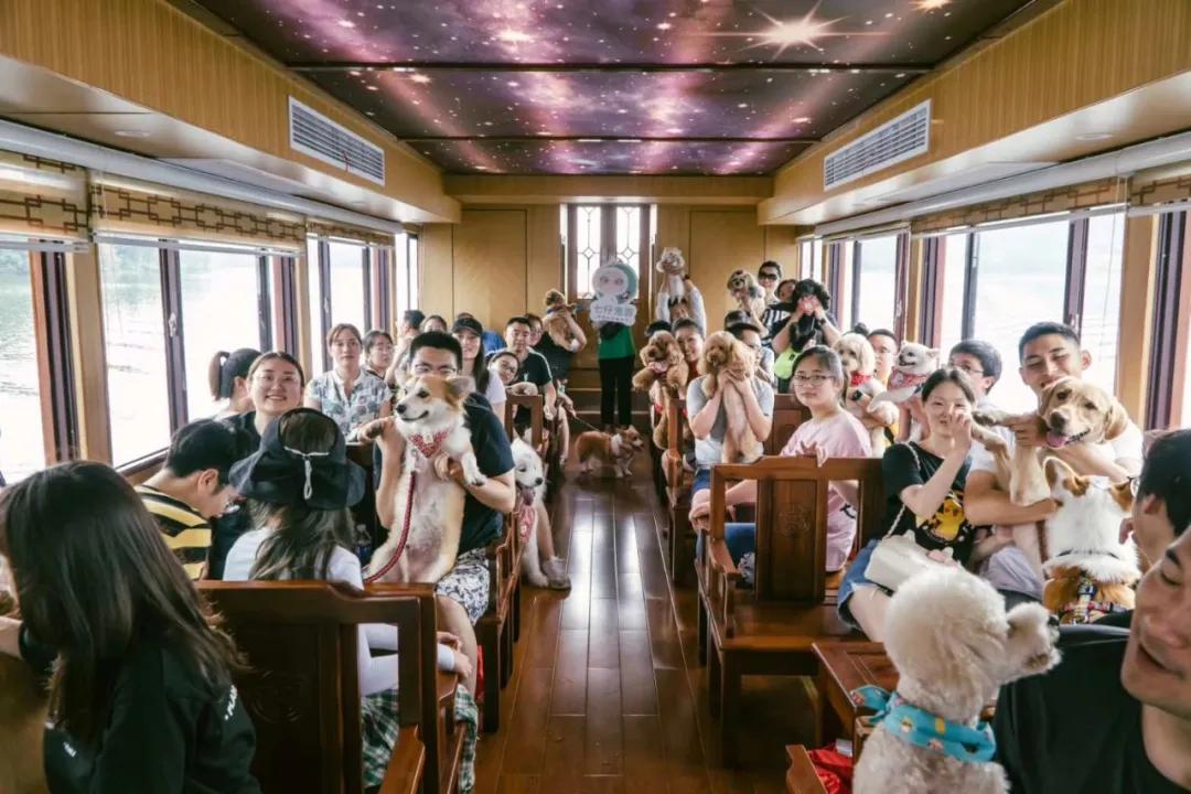 带着自己的宠物去旅行,主人带着狗狗去全世界旅行