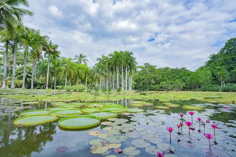 云南研学旅行路线推荐,云南寒假研学游推荐
