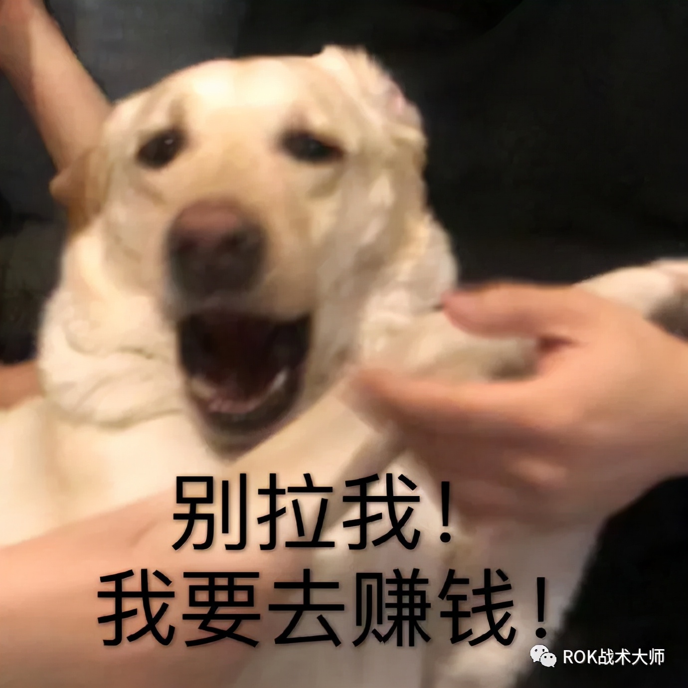 万国觉醒戒指图纸获得,万国觉醒埃及之战图纸