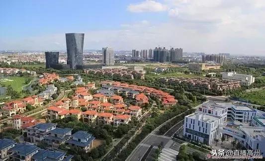 高州特点村镇,高州最大的小镇