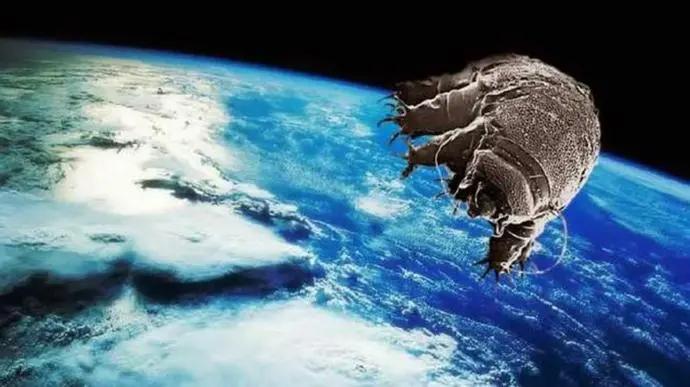 水熊虫能被核弹杀死吗,核弹能不能炸死水熊虫