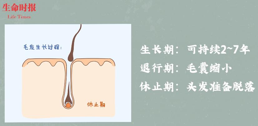产后脱发一掉一大把,产后脱发一年还会重新长头发吗