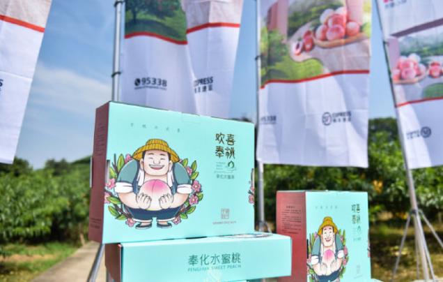 可以喝的桃子！被一颗水蜜桃引爆的亿元“桃经济”
