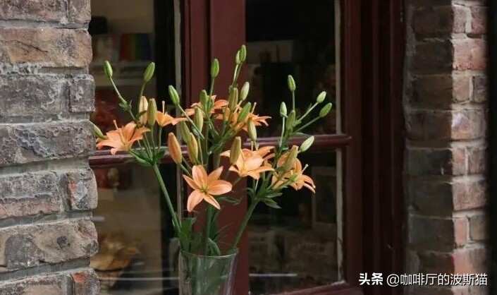 说一说接送孩子的快乐生活