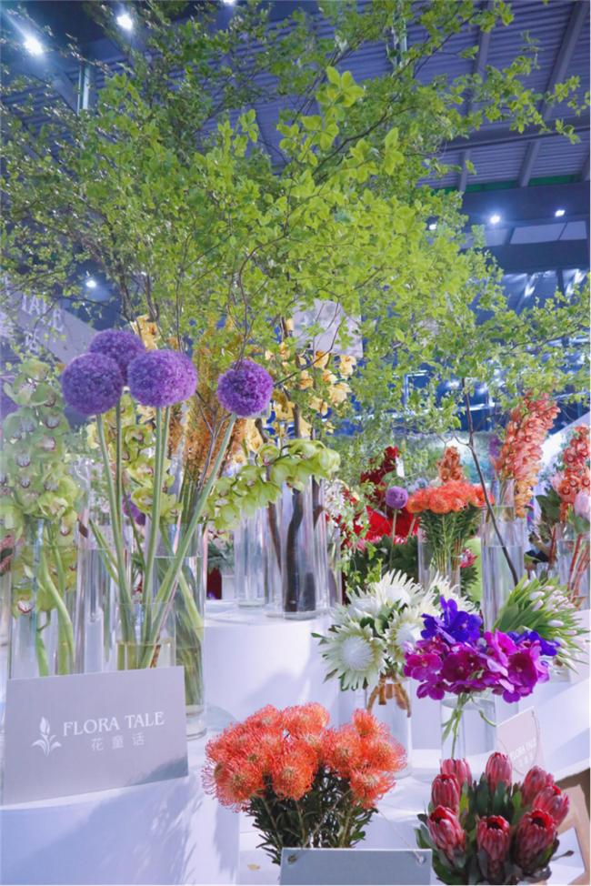 让人惊艳的花展,花展上看到的美到窒息