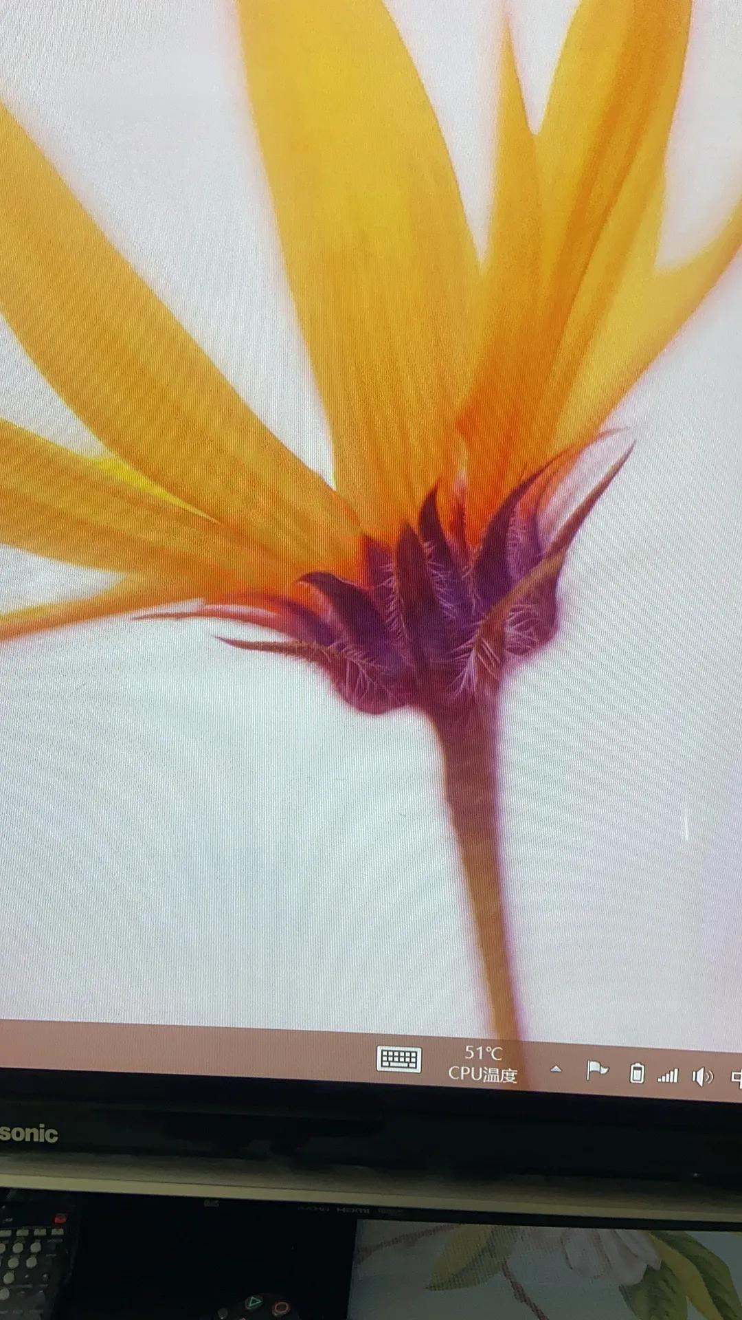 索尼电视pk老夏普电视,索尼老液晶电视投屏