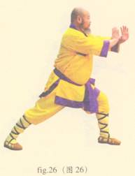 少林护心意门拳全套演示,少林拳长护心意门拳介绍