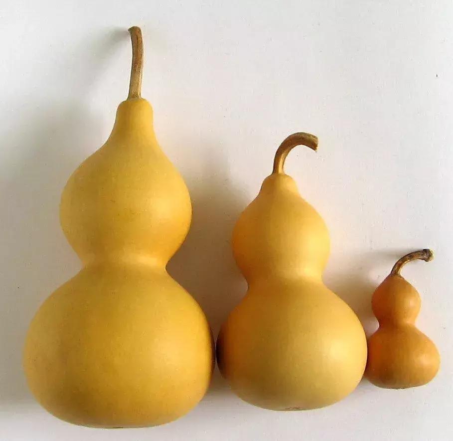 客厅风水改造布置图大全,名家的客厅布置风水图片