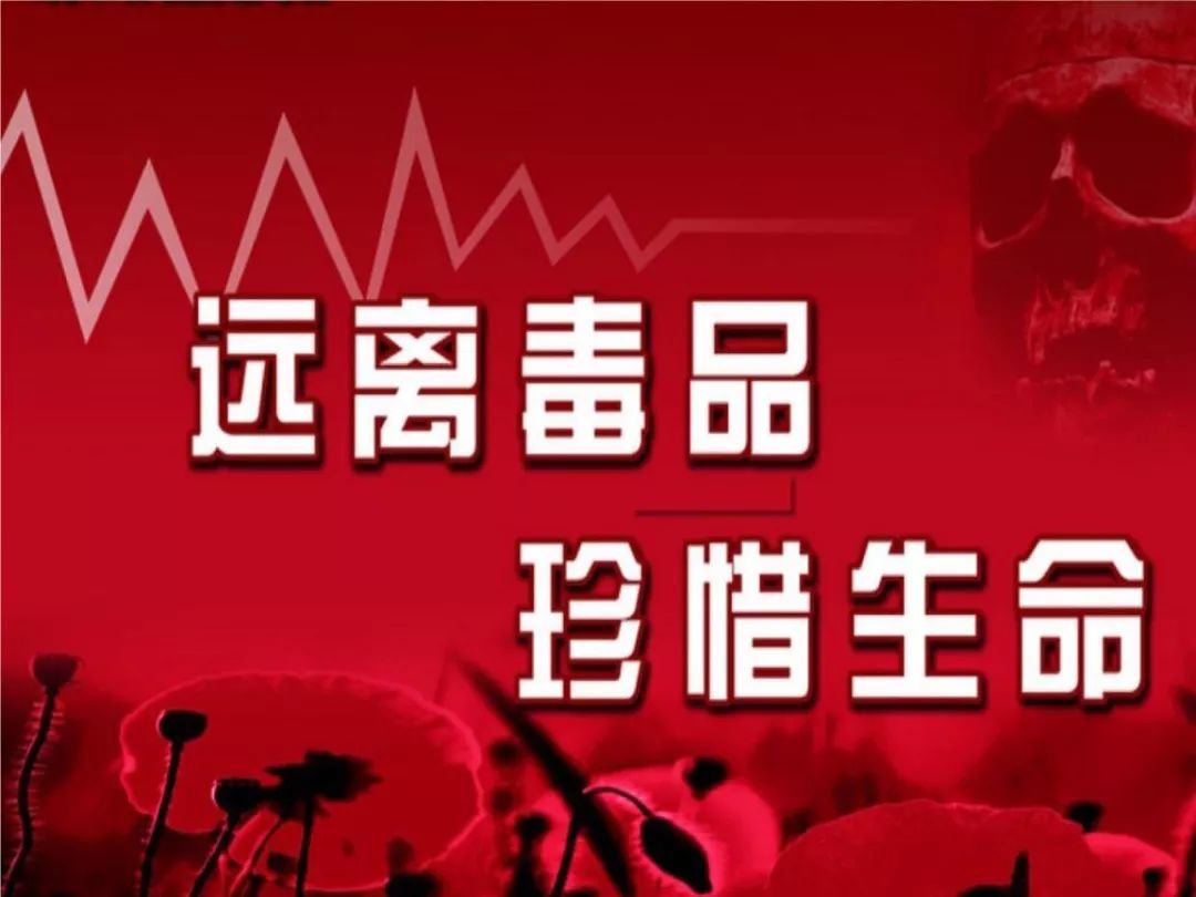 科目四禁毒知识题库,禁毒知识快问快答