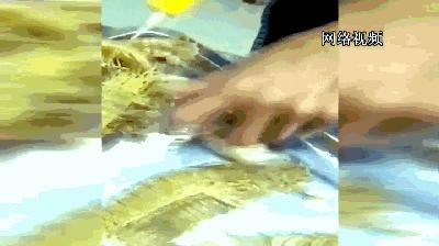 活皮皮虾用盐水泡着会死吗,皮皮虾泡水里几分钟就死了