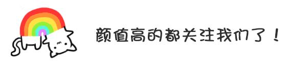 养博美犬的十大禁忌,养博美犬的5大坏处