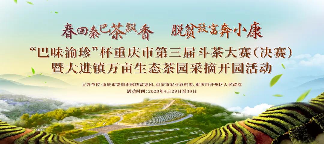 重庆斗茶大赛,重庆市斗茶大赛