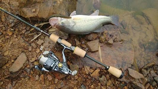 路亚怎么样才能在自然水域钓上鱼,路亚到底怎么样才能钓到鱼