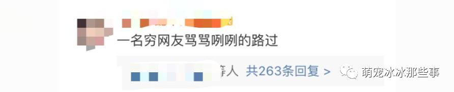 最壕狗窝！主人花3万5为爱宠造了个别墅，泳池和阳光房全都有