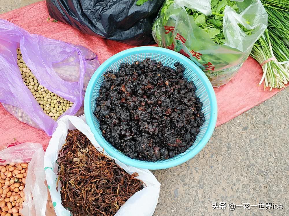 桃树上这种“煤渣”，过去农村娃当糖吃，如今30元一斤成稀罕货