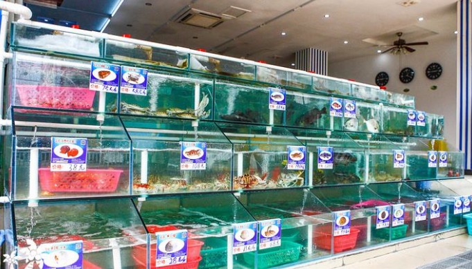 广东冷门小本生意创业项目,小本生意冷门创业项目收益