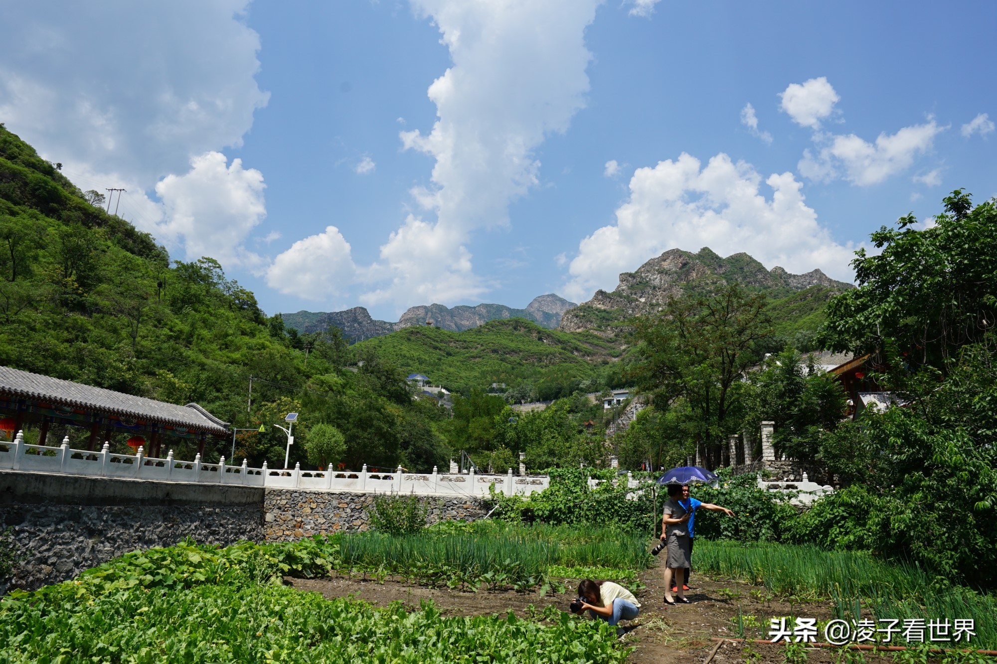 逃离北京40度高温，房山享用22度清凉，看银狐，逛古街吃铁锅炖