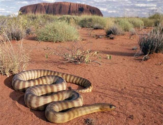 人类四种奇怪的恐惧症,人类可怕的十大恐惧症