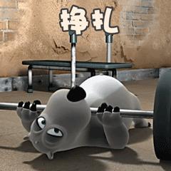 2019代购实体店,2019年代购能做吗