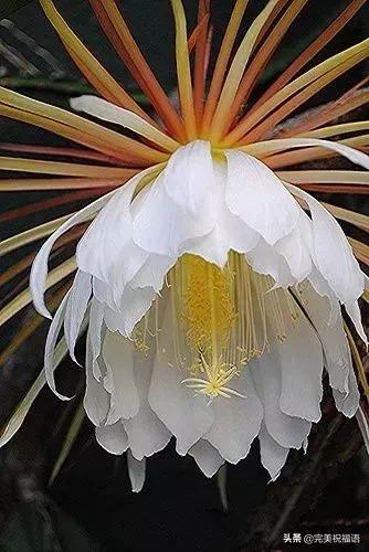 六一相册影集,六一照片专场