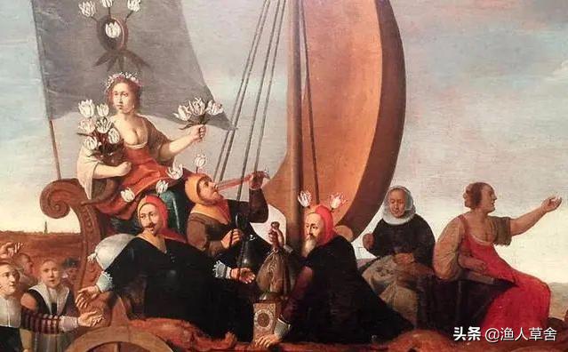 荷兰郁金香当年有多疯狂,郁金香荷兰史