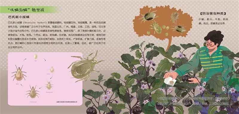 大棚蔬菜怎么防治虫,老街大棚常见害虫防治