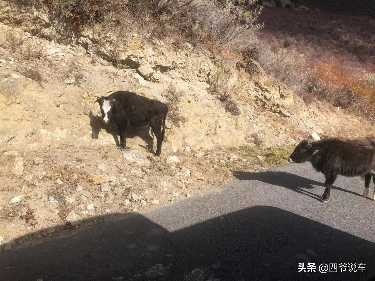 林芝看南迦巴瓦峰的观景台,西藏自驾游南迦巴瓦峰