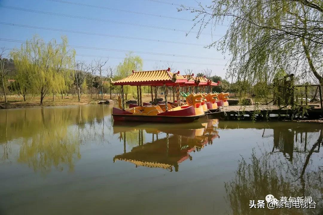 桃之夭夭！来武汉蔡甸世外桃源，许你万株桃花