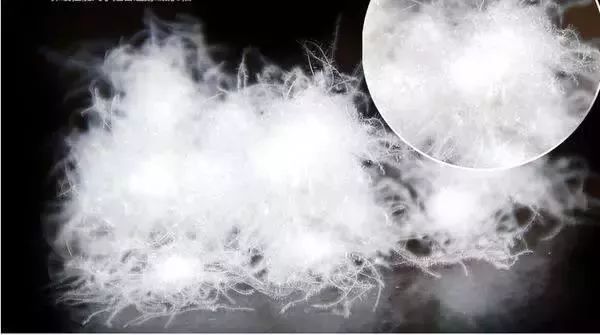 今年流行的波司登是什么样子的,波司登最实穿款