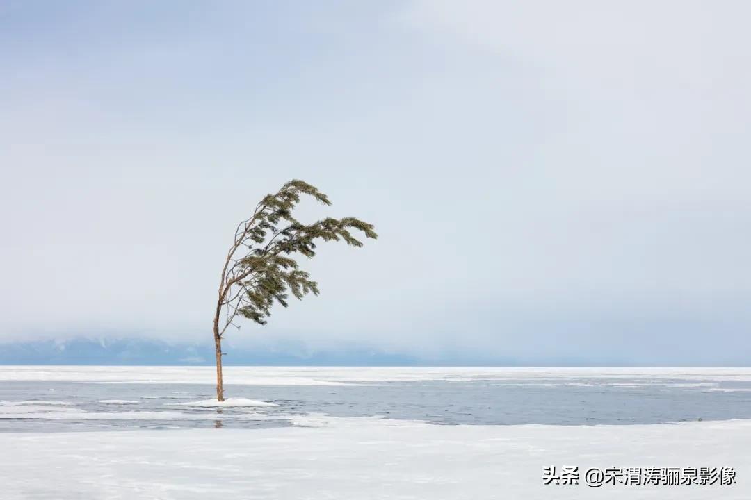 ipa国际动态摄影大赛获奖作品,2020年ipa摄影奖获奖作品