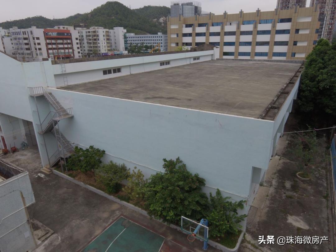 重磅！广州地铁将直通港珠澳大桥！限购放开！规划、旧村改造来了