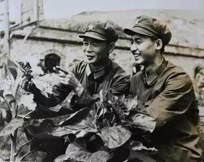 嫌工资低辞职光脚坐在火车站,成都市副市长辞职