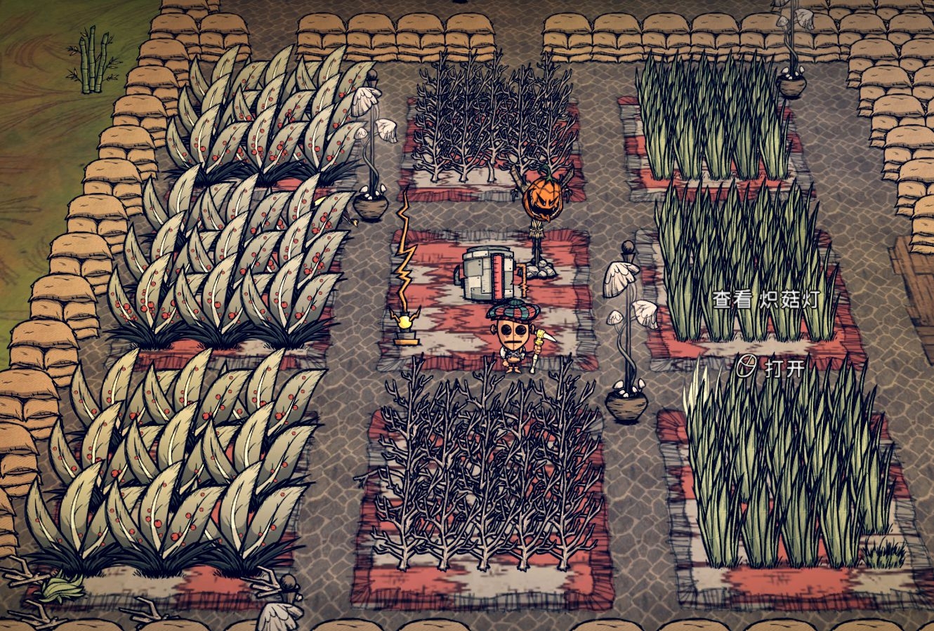 饥荒游戏发展的问题,饥荒这个游戏如何生存