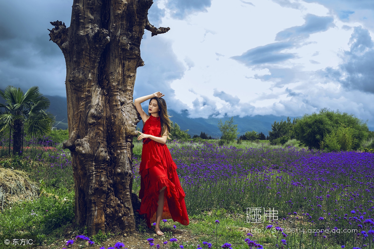 丽江好的客栈推荐,丽江好一点的客栈推荐