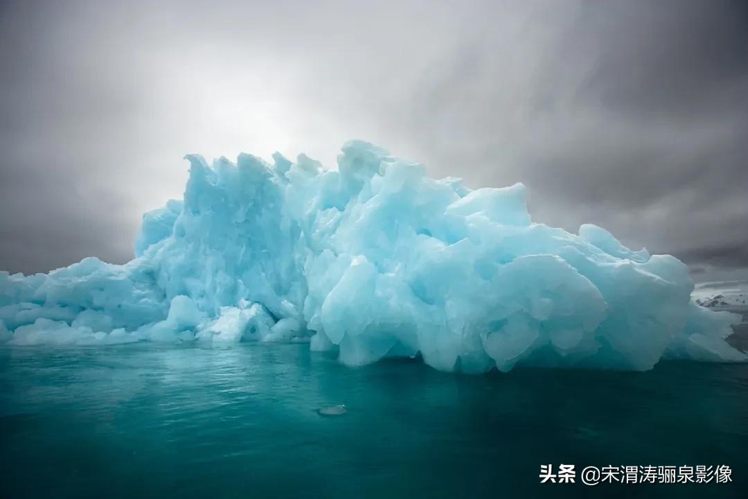 ipa国际动态摄影大赛获奖作品,2020年ipa摄影奖获奖作品