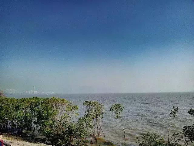 深圳旅游必去十大景点亲子游,深圳龙华旅游必去十大景点