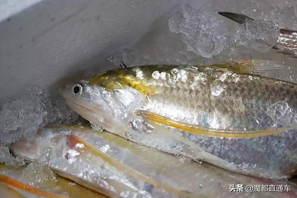 2019，在最好的时间，挑最好的地点，吃最好的食物！